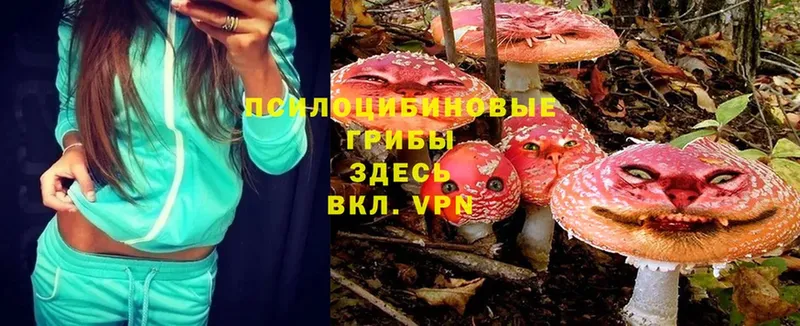 Галлюциногенные грибы MAGIC MUSHROOMS  магазин    Рославль 