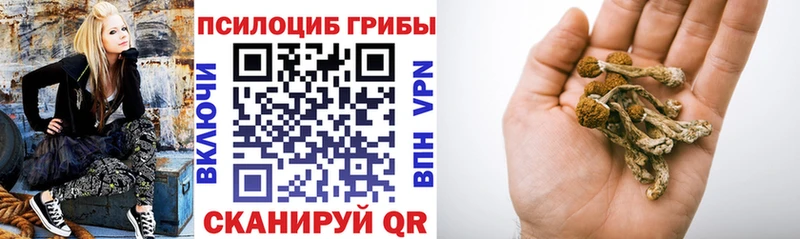 Галлюциногенные грибы Psilocybine cubensis  mega как войти  Рославль 