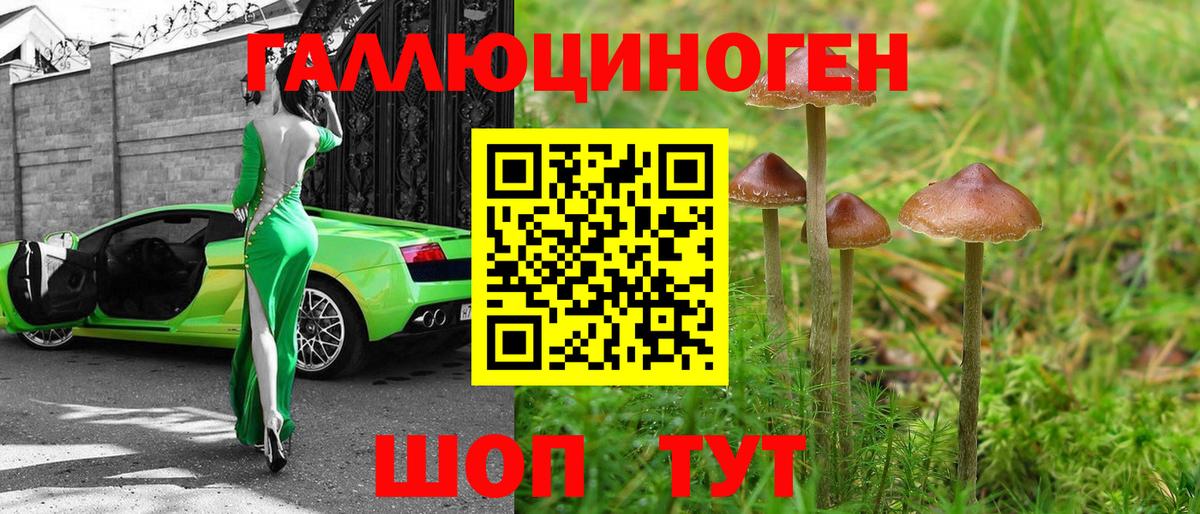 Псилоцибиновые грибы мицелий Рославль
